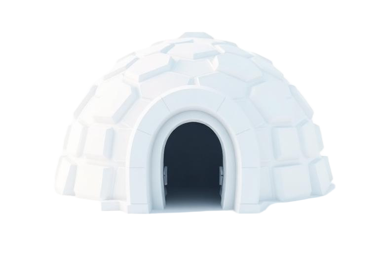 Igloo
